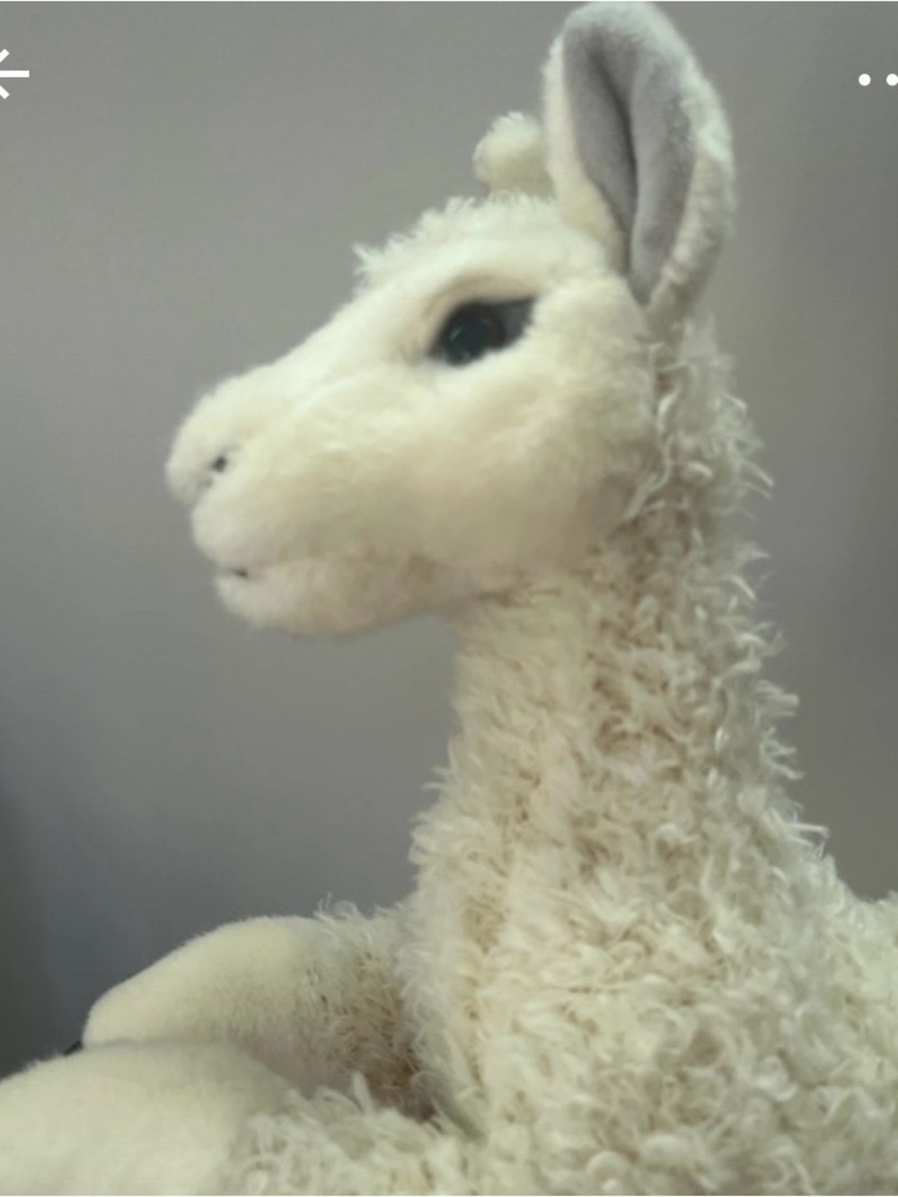 Aurora Flopsie Stuffed Plush Llama Toy 12" Laying - Picture 7 of 8